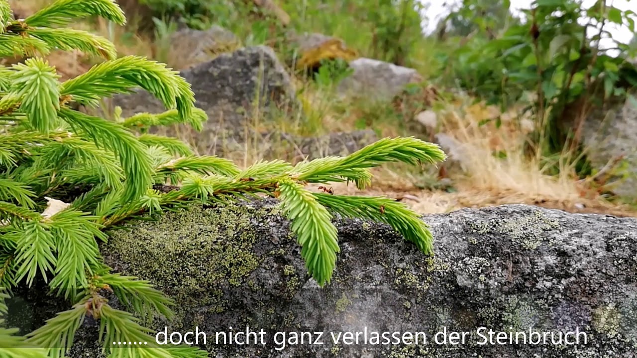 Lost Place..... Der verlassene Steinbruch Harz Air©