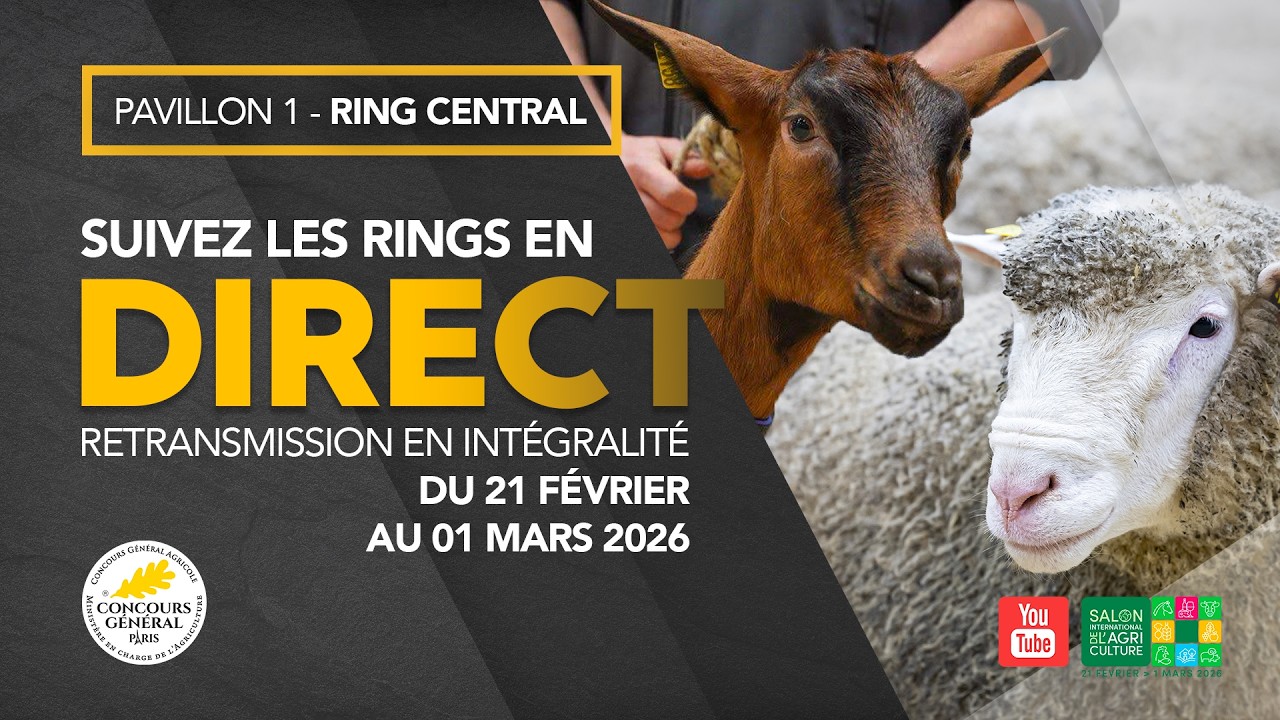 Ring Central Ovins 23/02/2026 @salonagriculture