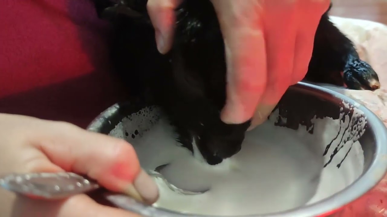 А в нас знову поповнення 