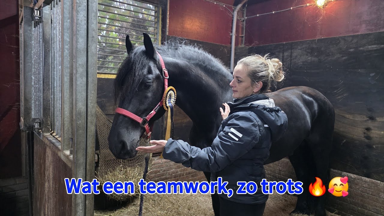 🎥 Lukas zijn eerste indoor tuigdebuut op Indoor Friesland! 🤩🐴| PHDressage