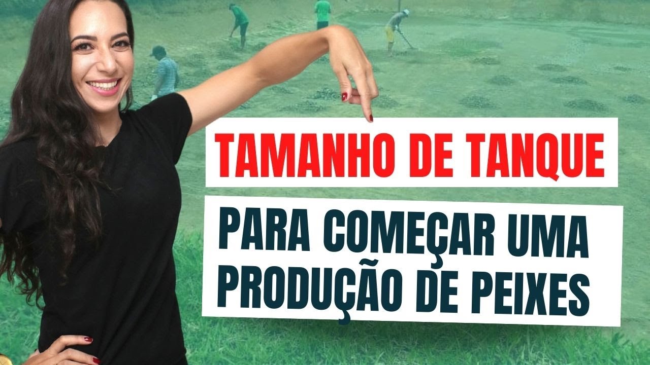Tamanho de tanque para começar uma produção de peixes
