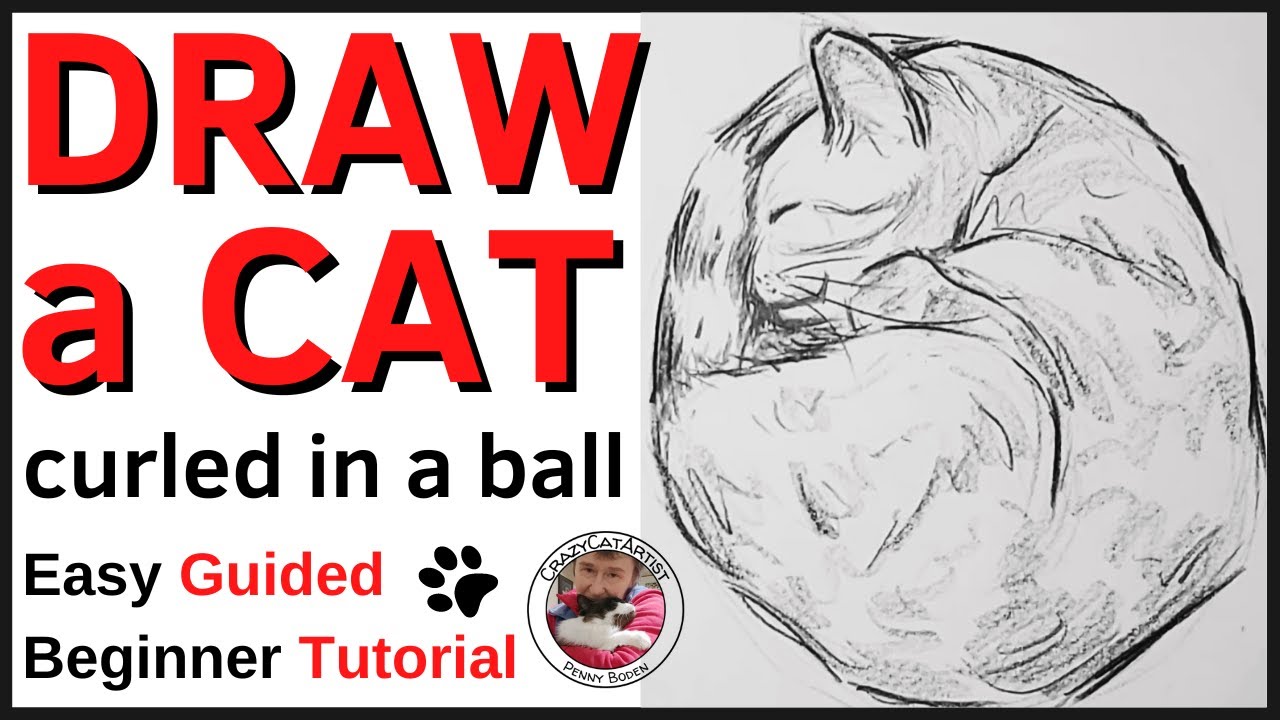 How to Draw a Cat Curled up in a Ball Sleeping - simple kitty sketch tutorial, beginning artist & up