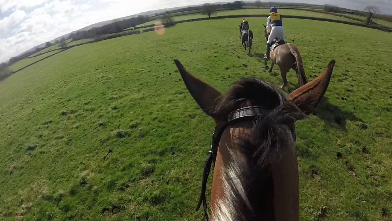 Old Berks Hunt Race 2017 - King Koda - 5th Place