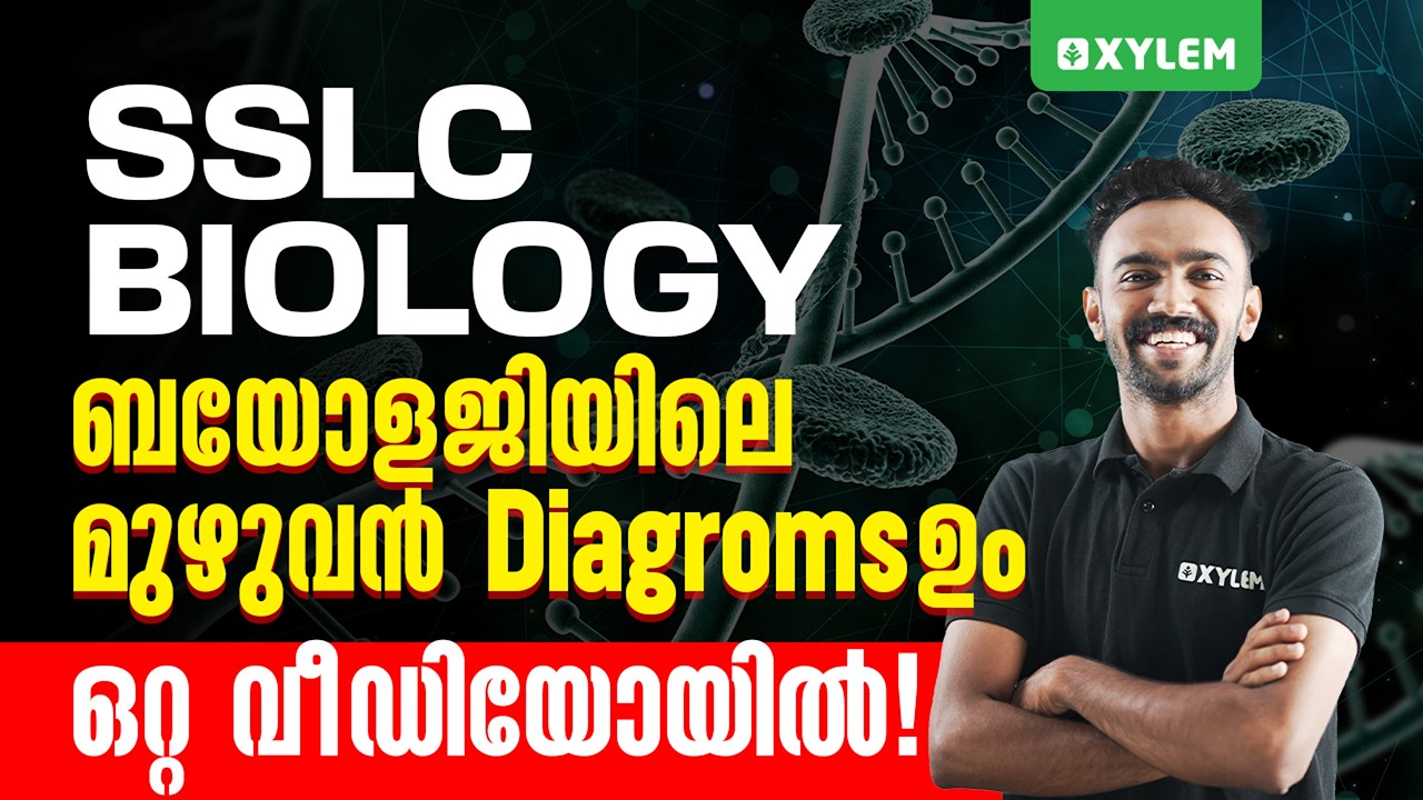 SSLC ബയോളജിയിലെ മുഴുവൻ Diagroms ഉംഒറ്റ വീഡിയോയിൽ | Xylem SSLC