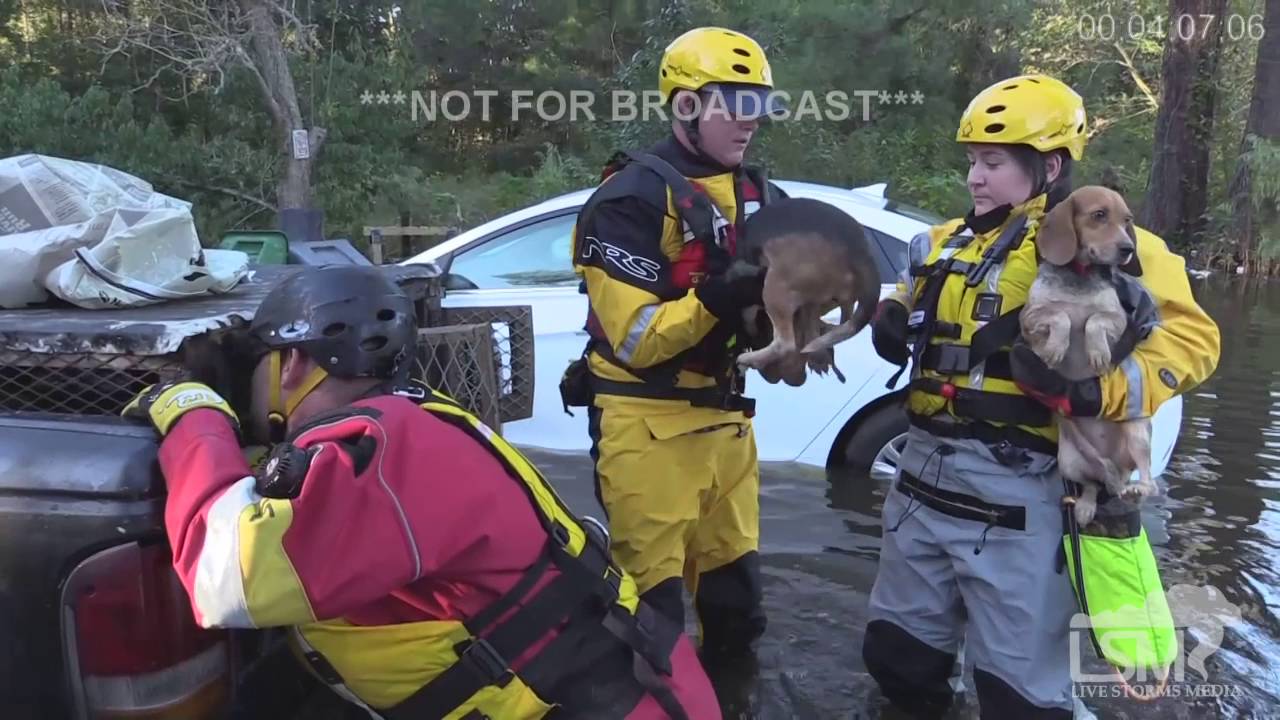 10-11-16 Lumberton, NC Flooding/Dog Rescue