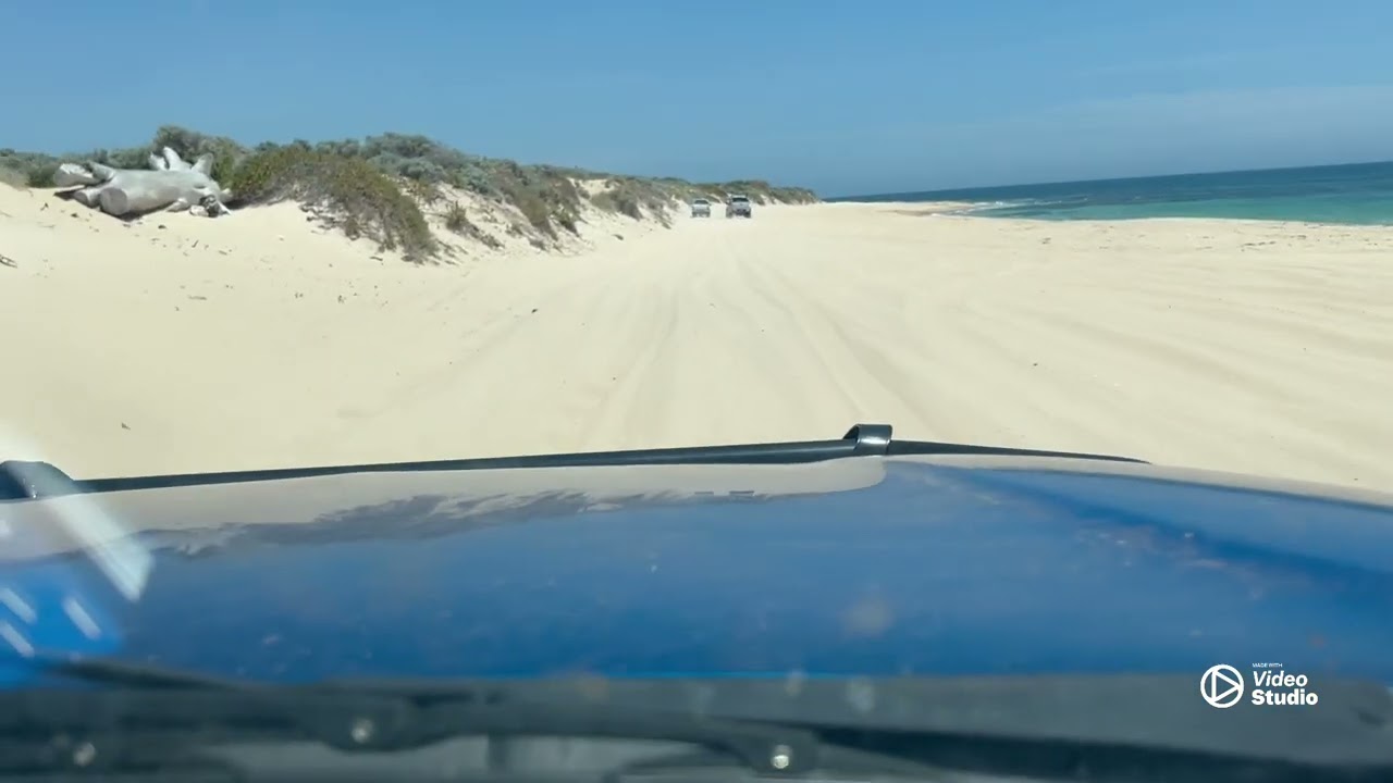 Quick beach drive to Tim&rsquo;s Thicket and swim