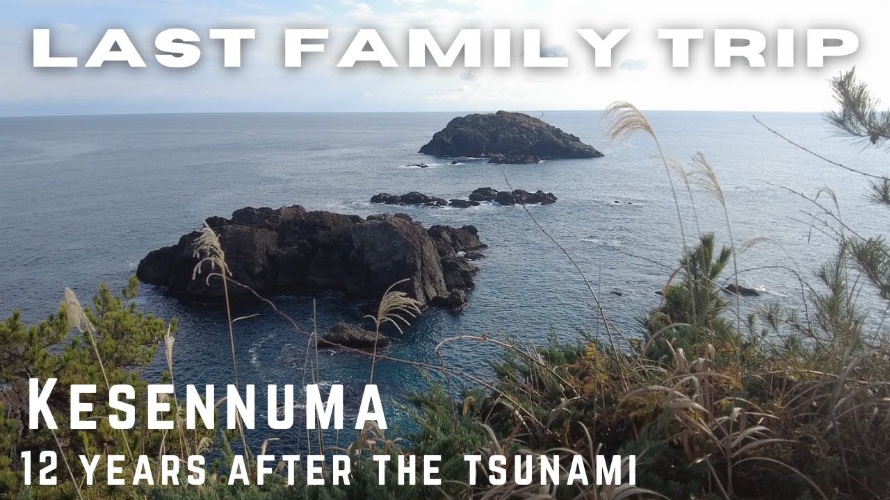 Kesennuma | what tsunami affected city looks like now |Japan Daily Vlog