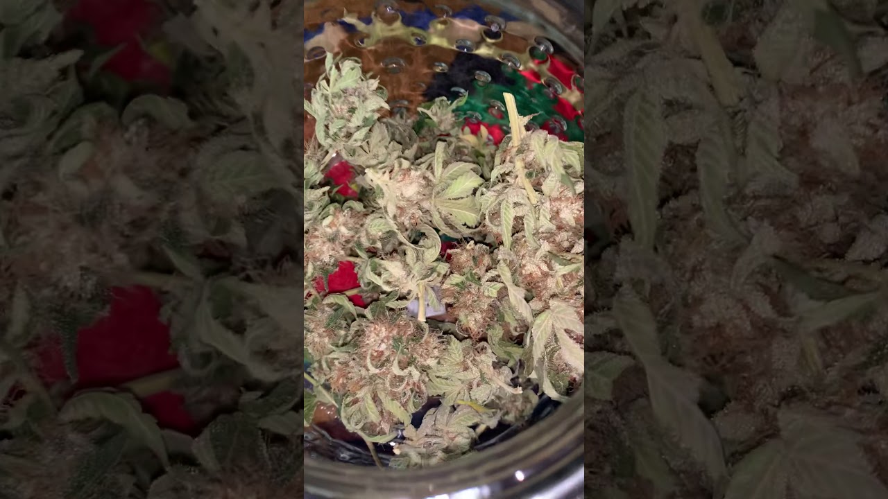 Bubba kush