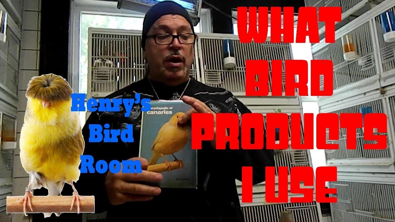 What Products Do I Use | Henry's Bird Room Tips & DIY Info for Bird Breeders