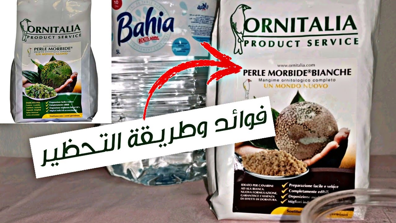 #طريقة #تقديم...! perle morbide blanche و #فوائدها #للكناري و #الحسون