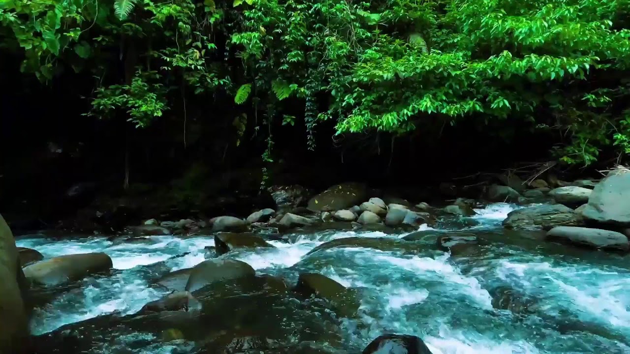 Dark Jungle River Flow – Deep Sleep Nature Sound with Rushing Water Sound