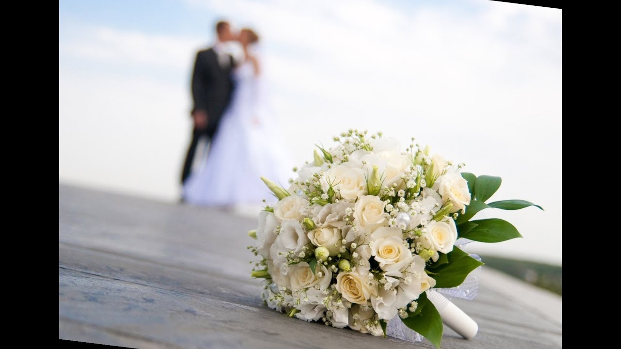 David and Wendy's Wedding