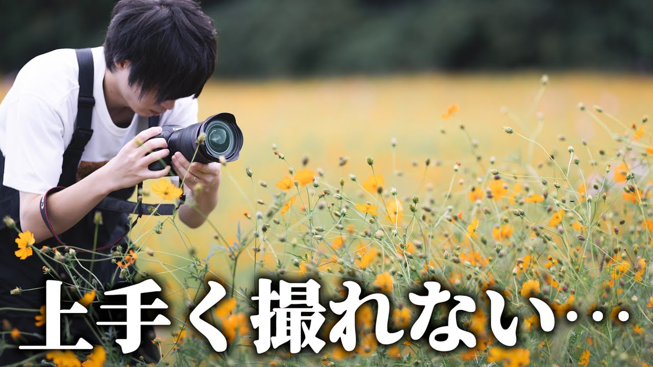 困った時に真似してみてほしい撮り方とRAW現像。