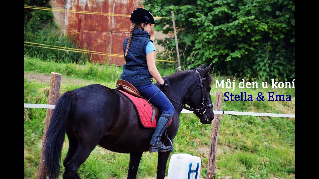 Můj den u koní I EquiStella