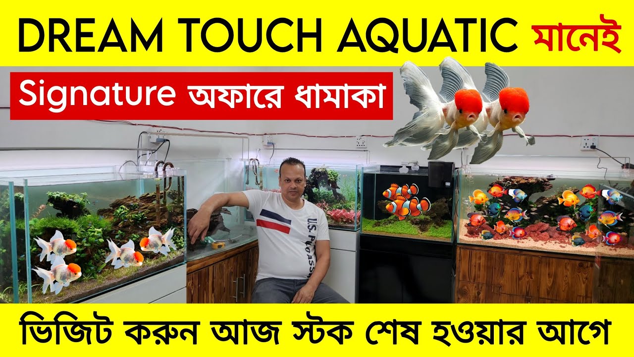 Aquarium Fish Price 2025 |🐠🐠Aquarium Fish Price | Aquarium | Aquarium Fish Price In BD🐠🐠