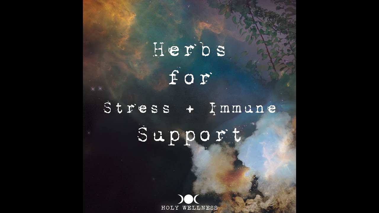 Herbs for Stress + Immune Support