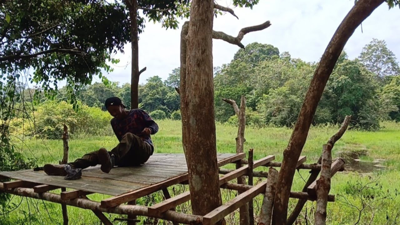 Camping hujan deras membangun rumah pohon  di pinggir sawah