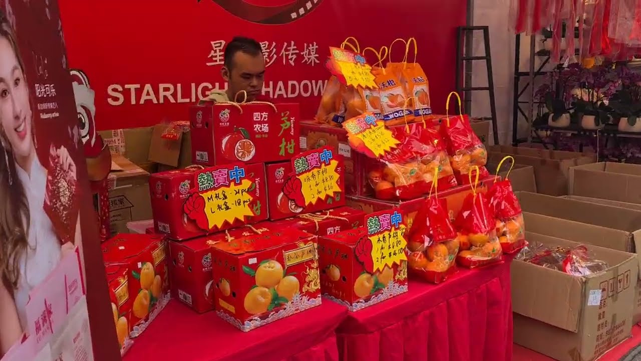 Singapore Chinatown- Chinese New Year Bazzar 2026~Year of the Horse