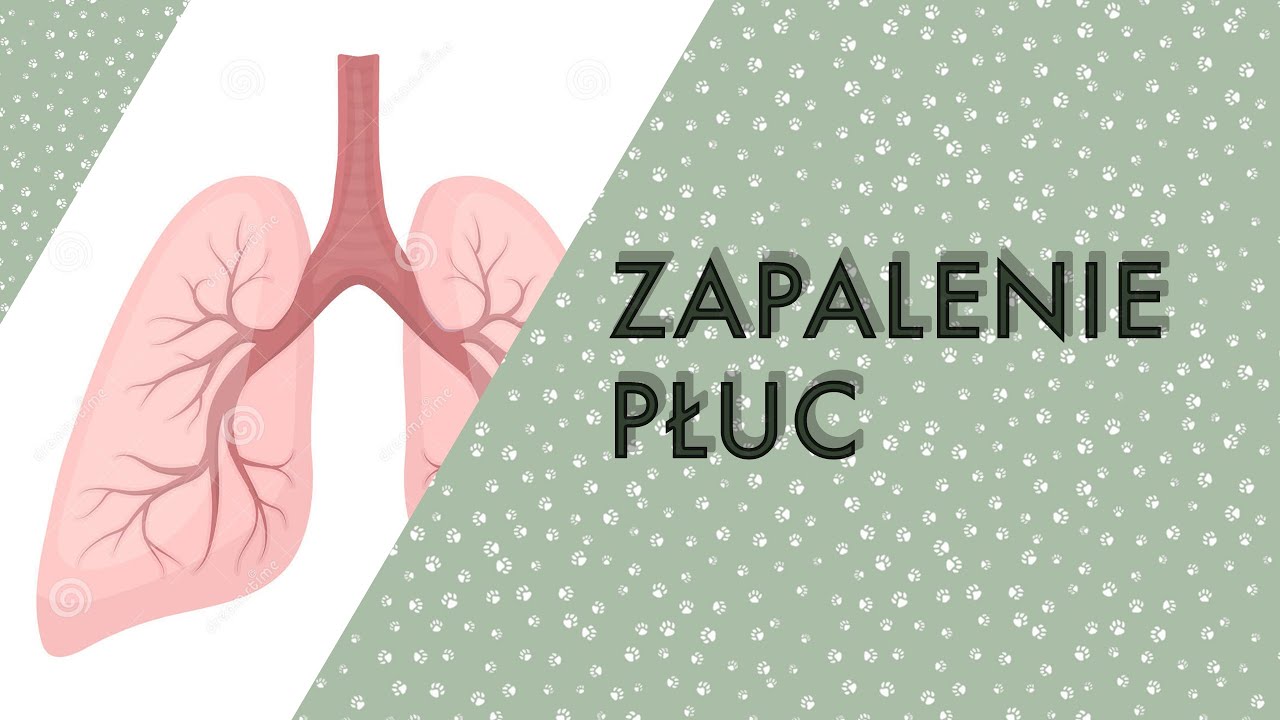ZAPALENIE PŁUC U PSÓW