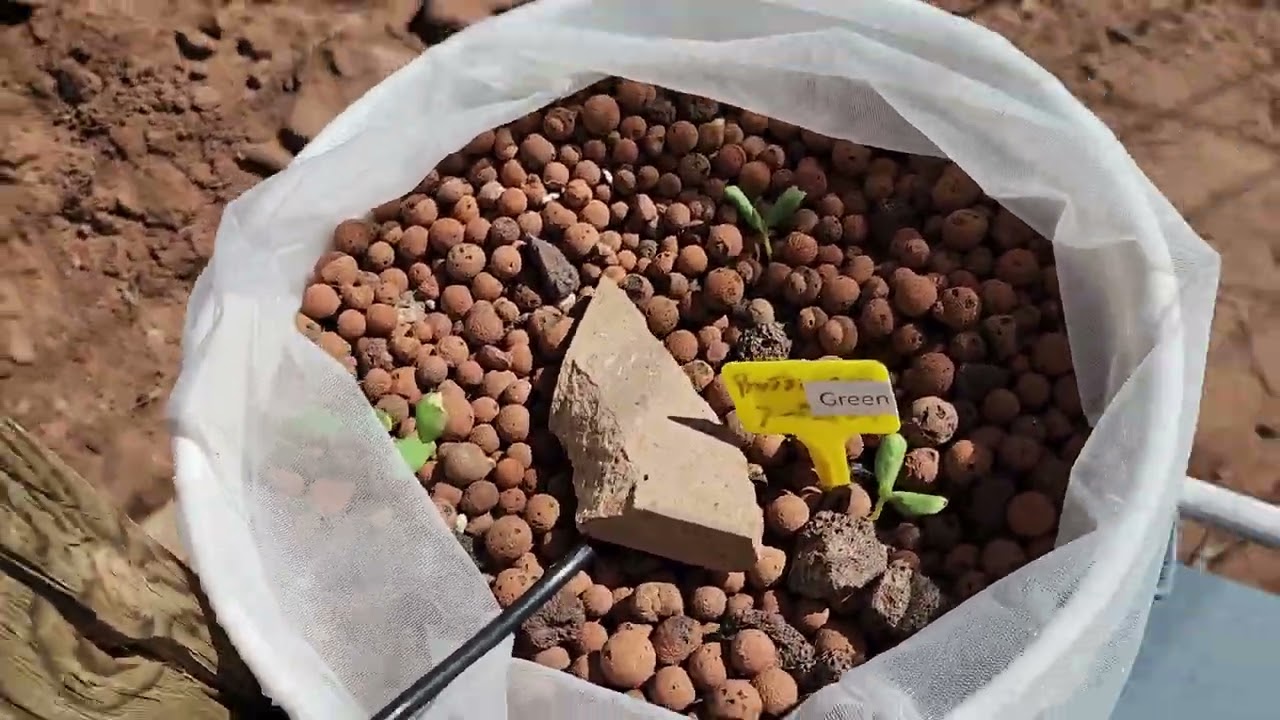 Aquaponics, how does this all work? Glad you asked!!