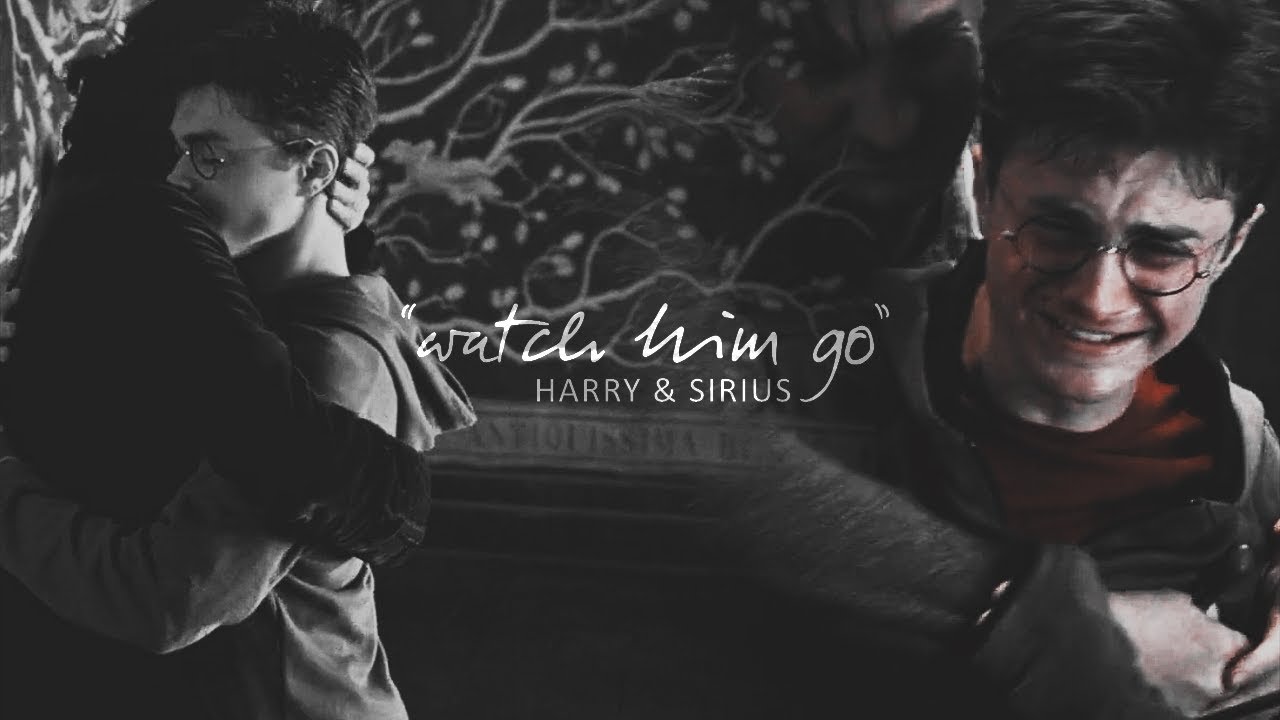 Harry + Sirius | Hurricane