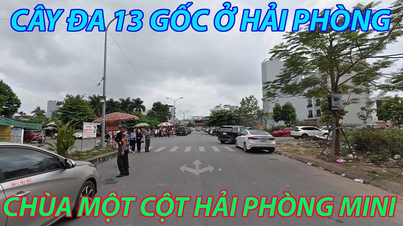Camera hành trình 12 - Đường đến cây đa 13 gốc và chùa Phổ Chiếu ở Hải Phòng