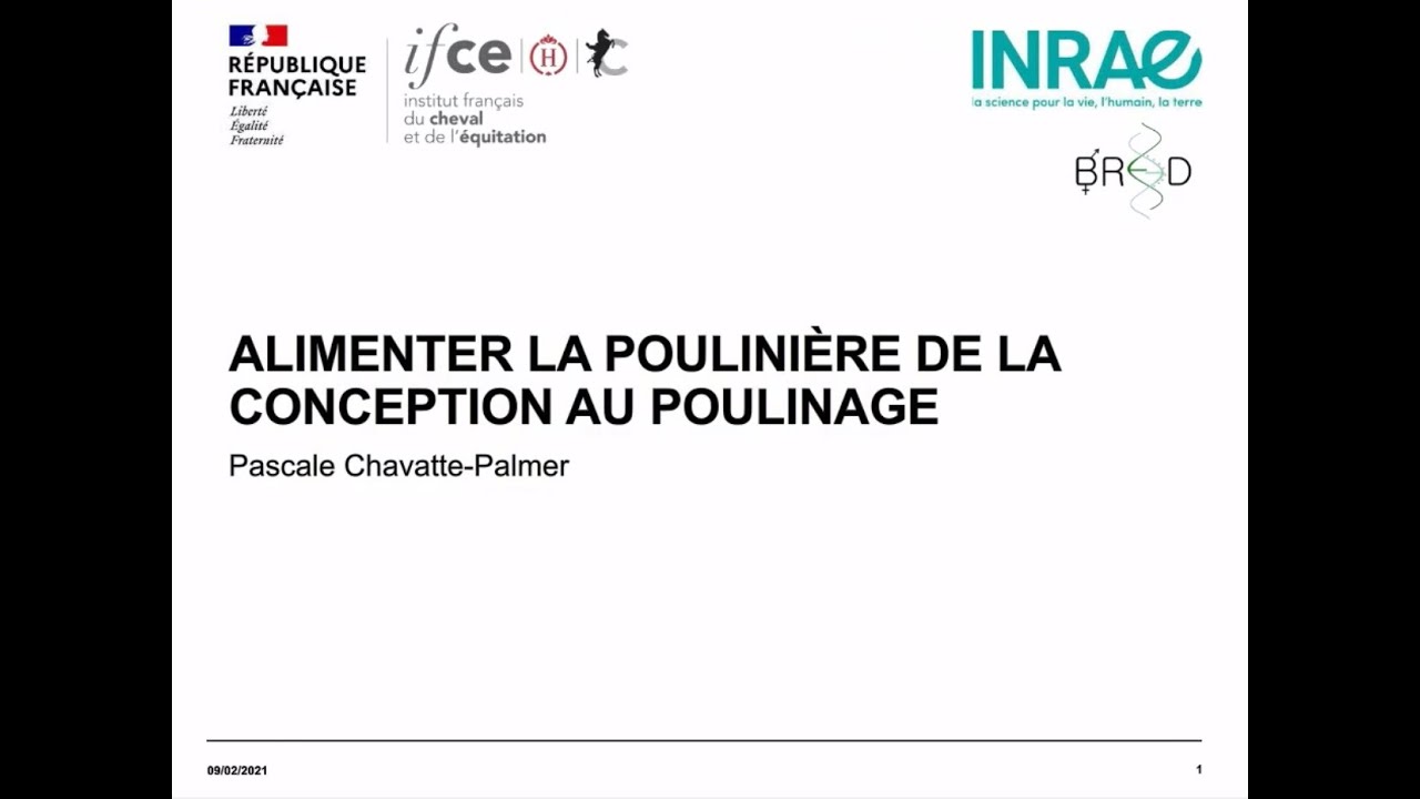 Alimenter la poulinière de la conception au poulinage - Pascale Chavatte-Palmer