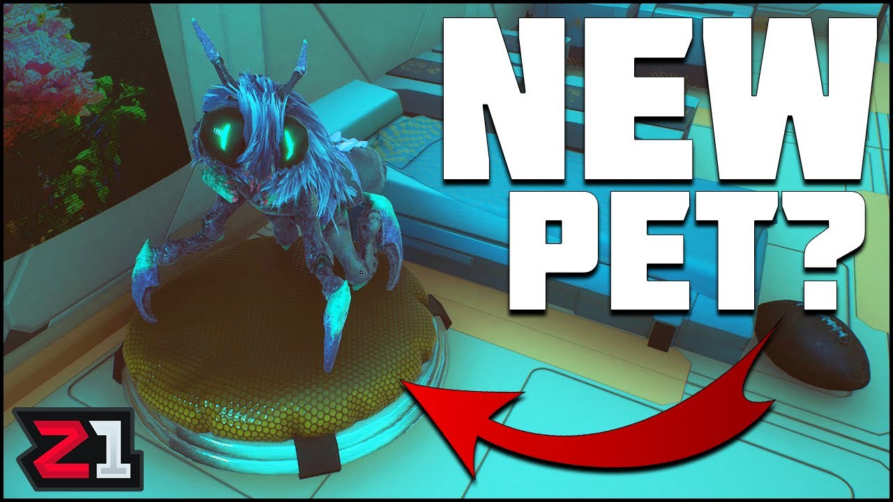 AIRSHIP BUILDING And A New PET BED !? Forever Skies [E10]