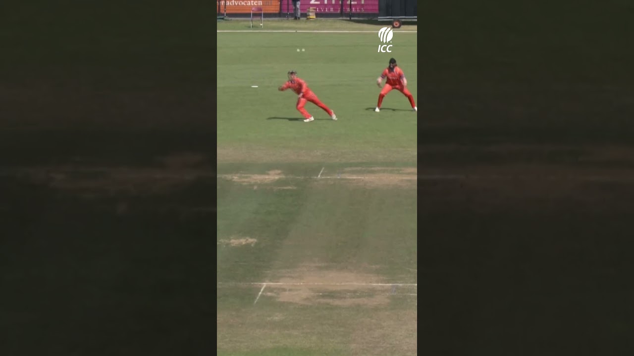 That's some grab from Noah Croes against Canada 😲 #cricket #cricketshorts #ytshorts #cwcl2