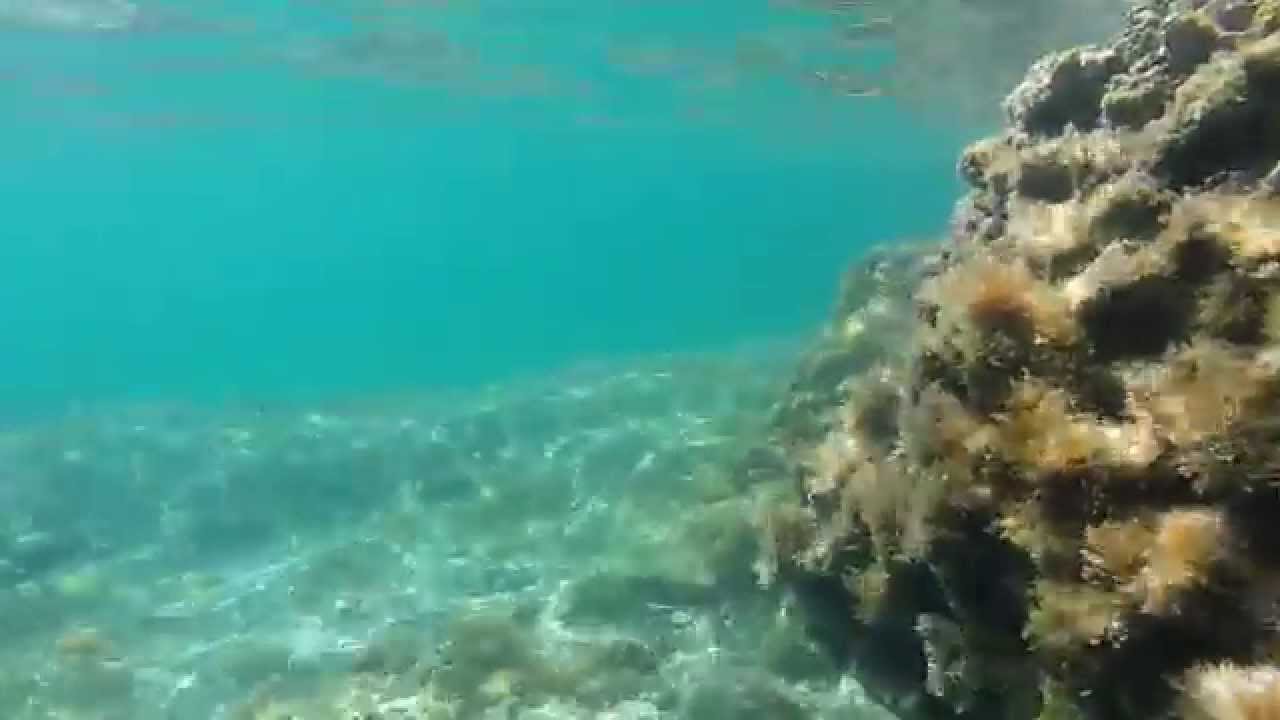 Snorkeling, Kolymbia, Rhodes.