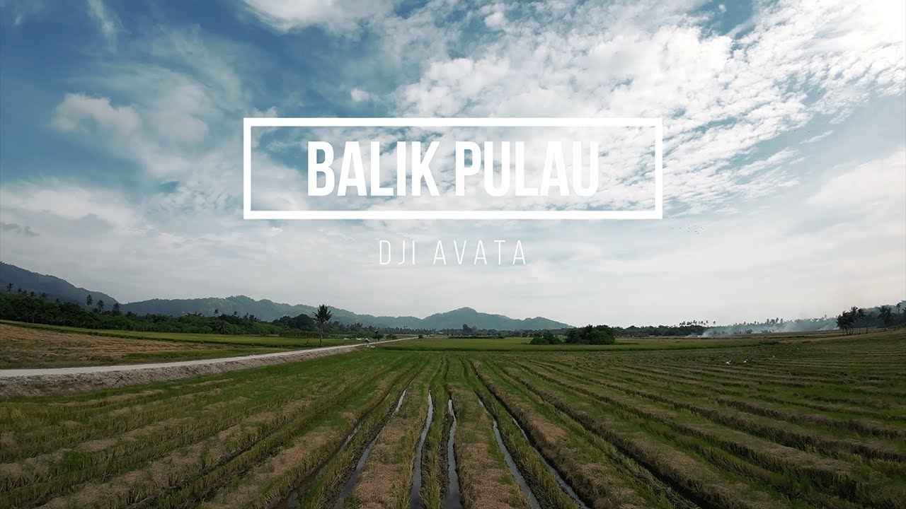 DJI Avata - Paddy field in Penang, Balik Pulau