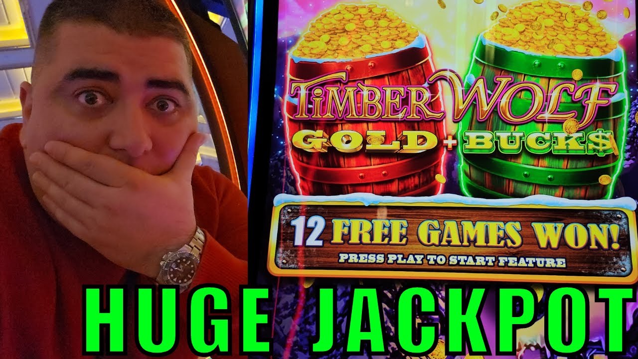 My BIGGEST JACKPOT On Brand New Timber Wolf Slot Machine