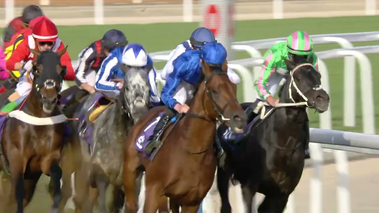 Race Replay: 1351 Turf Sprint at King Abdulaziz Racecourse