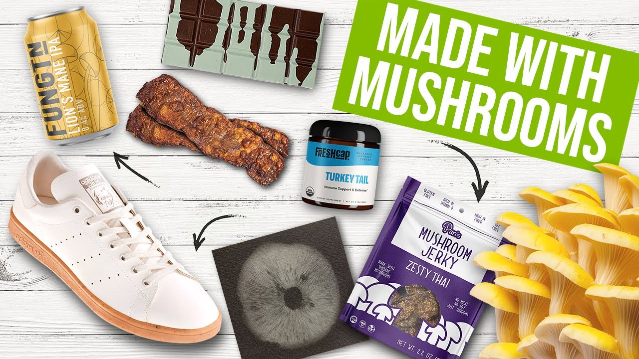 35 Fantastic Products Made From MUSHROOMS! | Mushroom Products | GroCycle