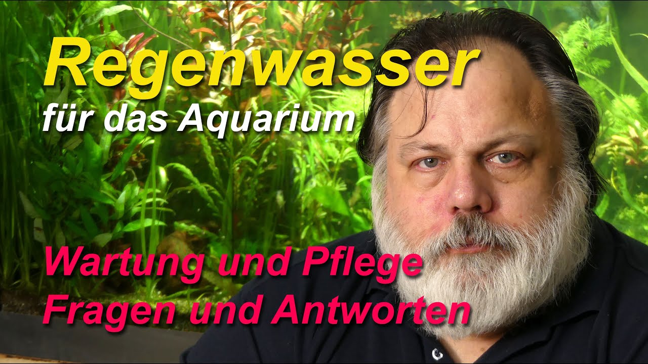 Kann man Regenwasser f&uuml;r das Aquarium benutzen?