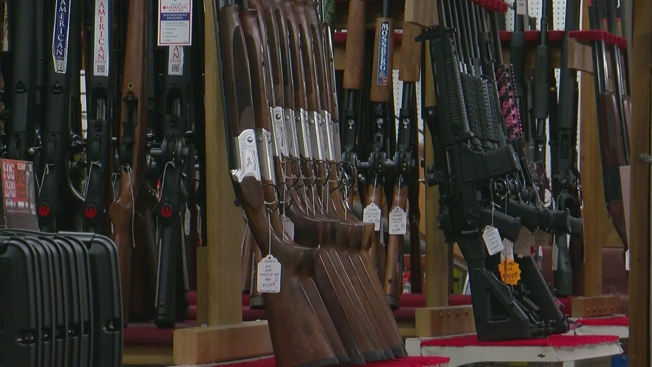 What Do Gun Background Checks Actually Check?