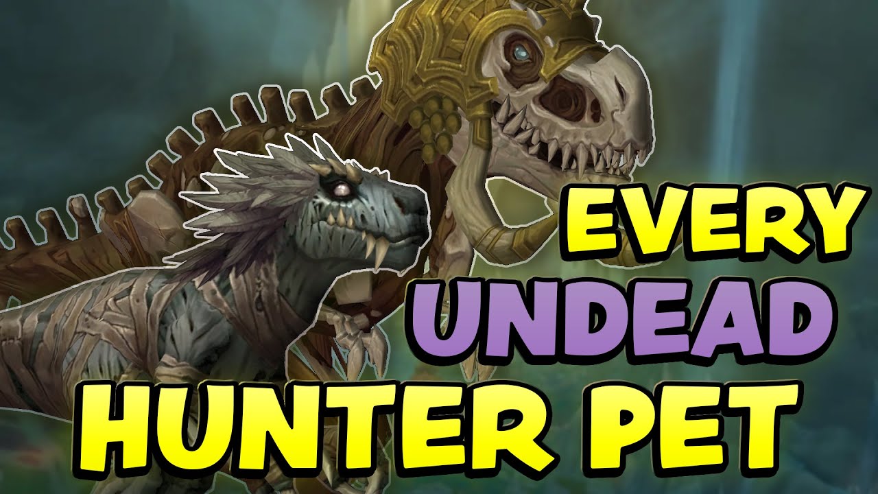 Every Undead Hunter Pet in WoW (How to Find + Tame Them All)