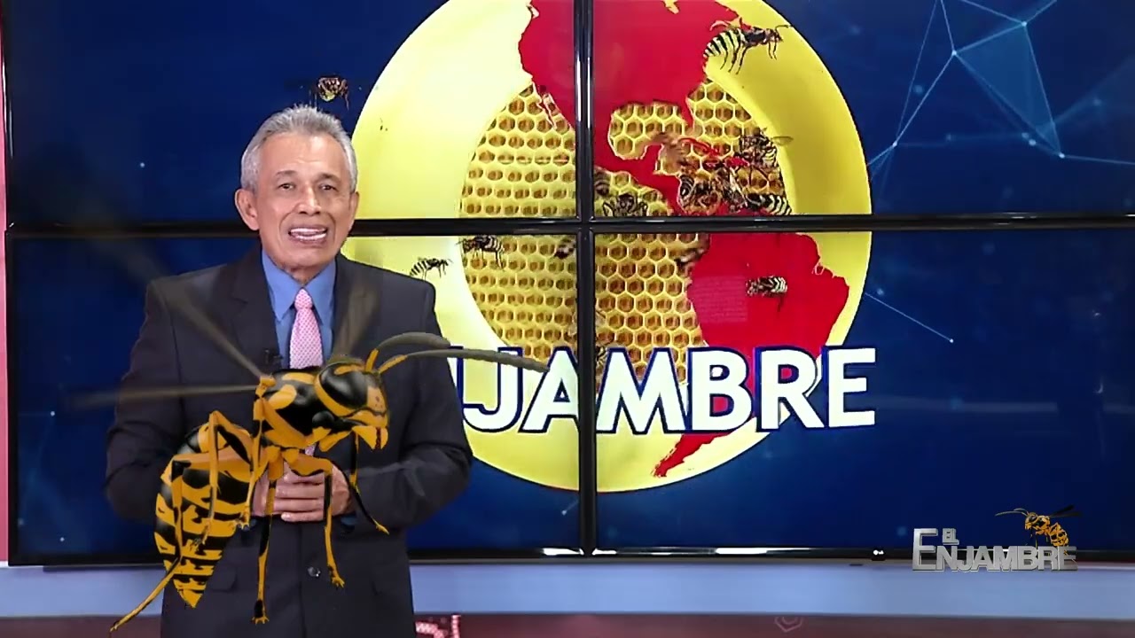 El enjambre 20 de enero de 2026 | Oro Noticias