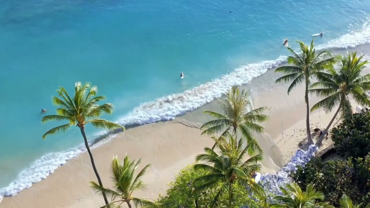 Morning relaxing music -positive energy  and felling (creative content)