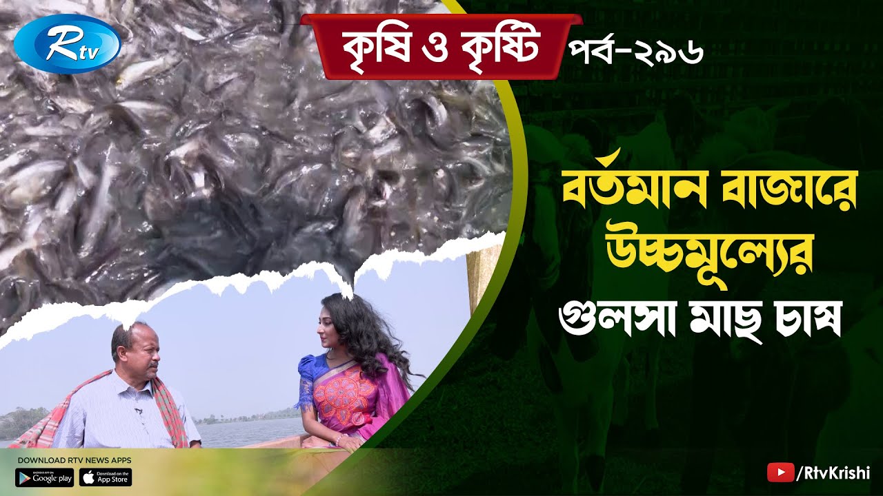 ৫৫ একর জমির উপর মাছ চাষ করে পেয়েছেন আকাশচুম্বী সফলতা | Fish Farming | Rtv Krishi