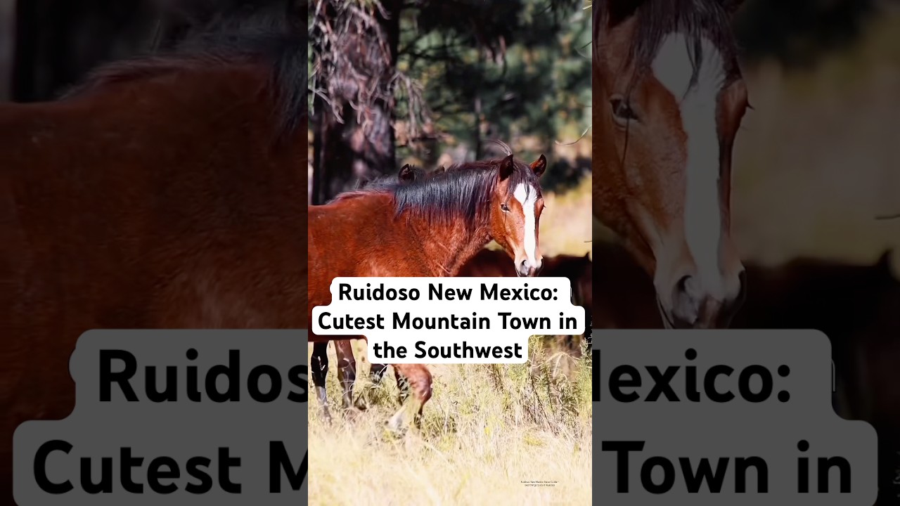 Ruidoso New Mexico Travel Guide | Top Things to do in Ruidoso | Cute Southwest Mountain Town