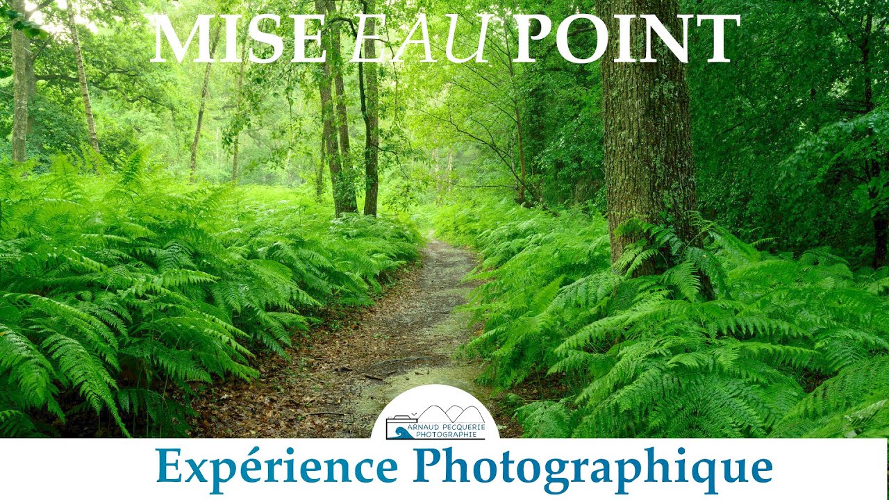 Où faire la mise au point en photo de paysage? | Tuto Photographie