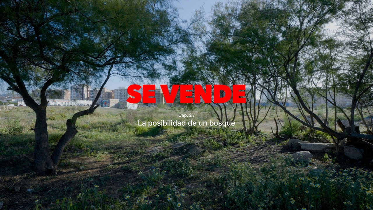 Se vende - Cap. 02 / La posibilidad de un bosque