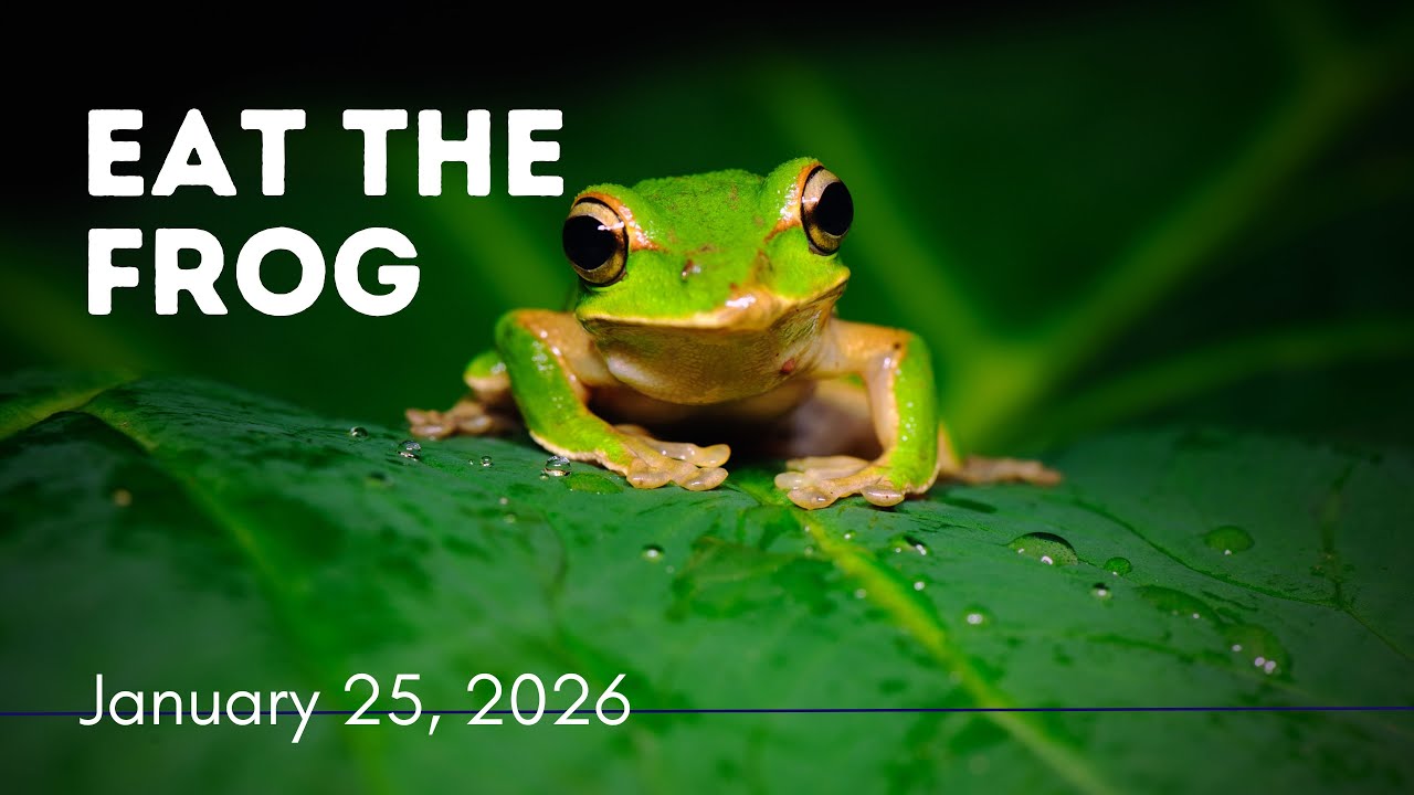Eat the Frog