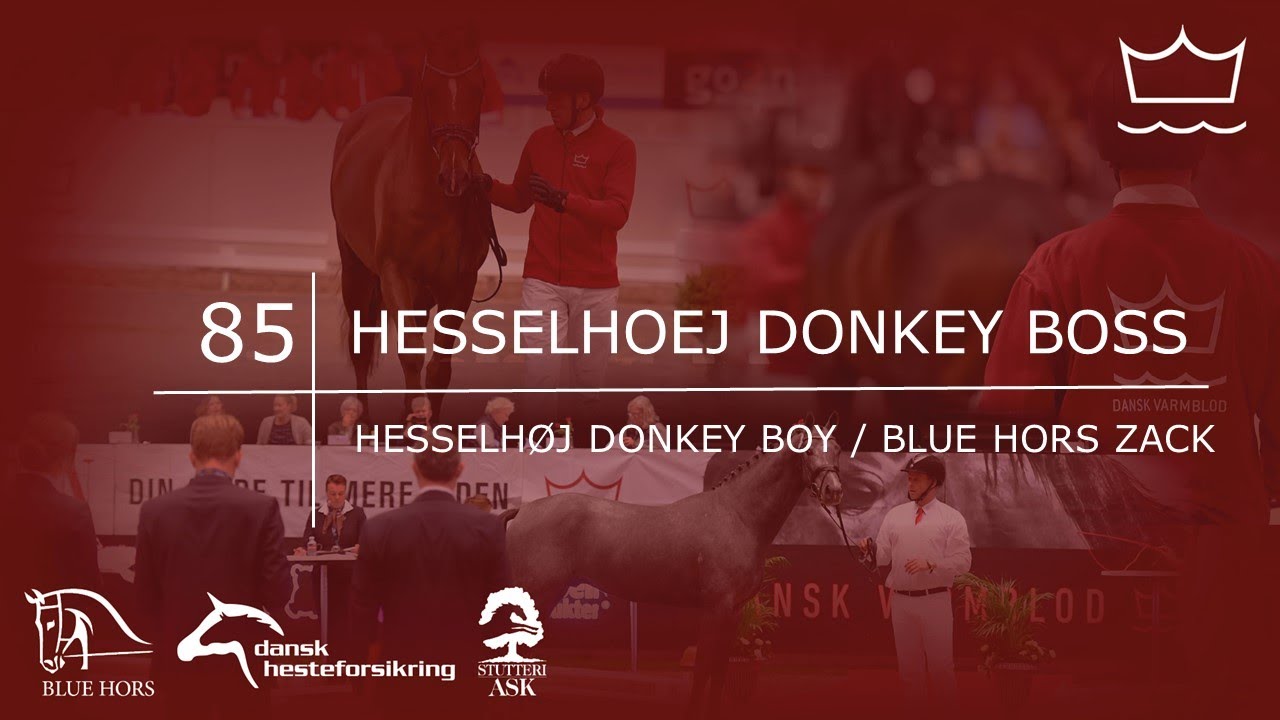 85 HESSELHOEJ DONKEY BOSS