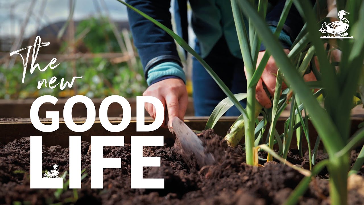 Country Garden and Vegetable Patch Tour | The New Good Life | Country Living UK