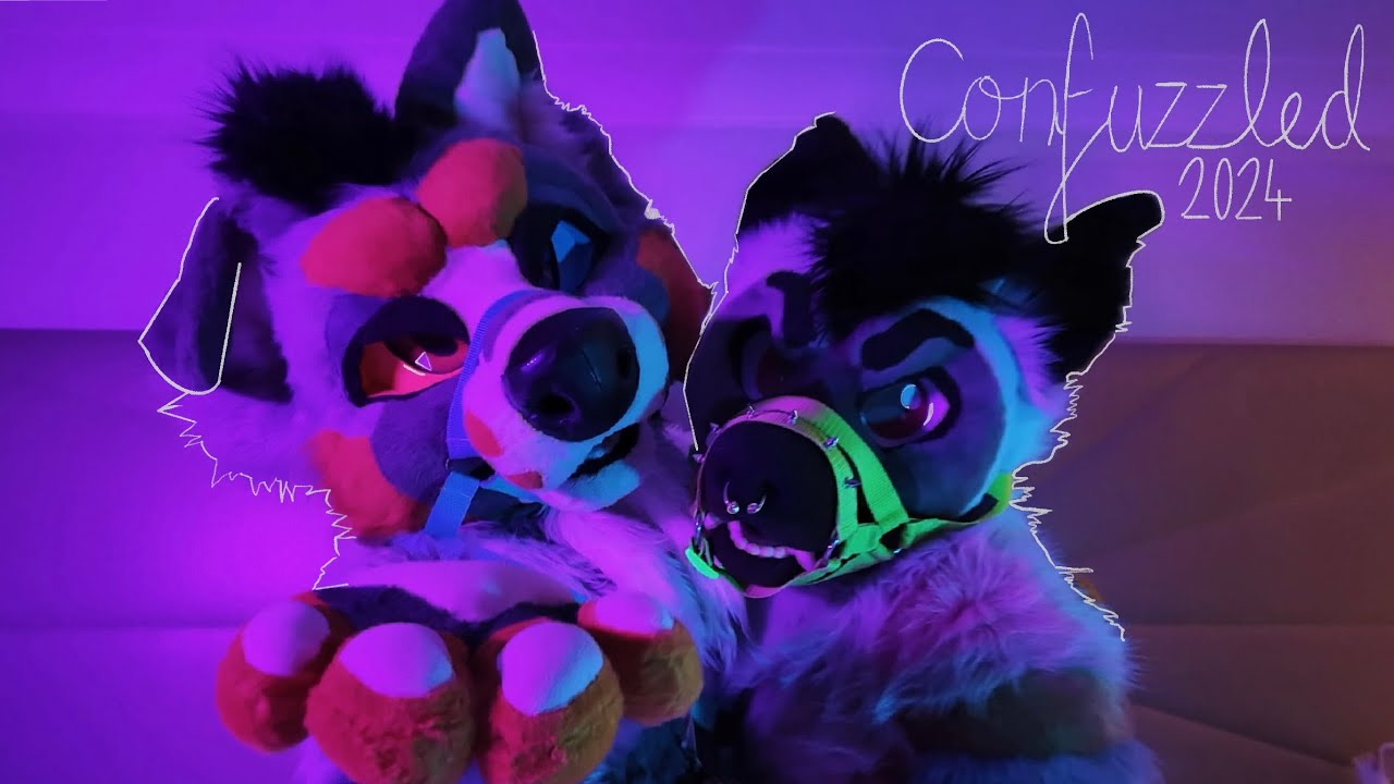CONFUZZLED 2024 DAY 2-3 (Uk's largest furry convention compilation)