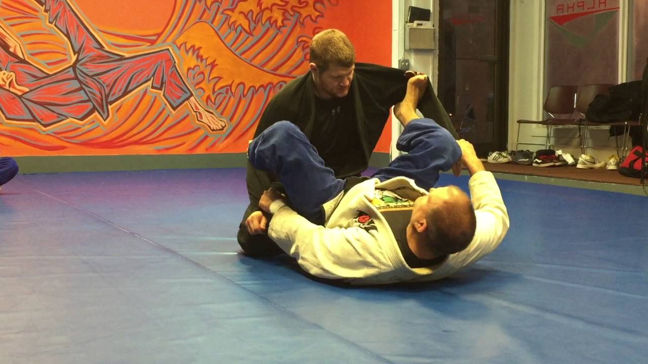 TRANSITION TO SPIDER GUARD AND OMO PLATA