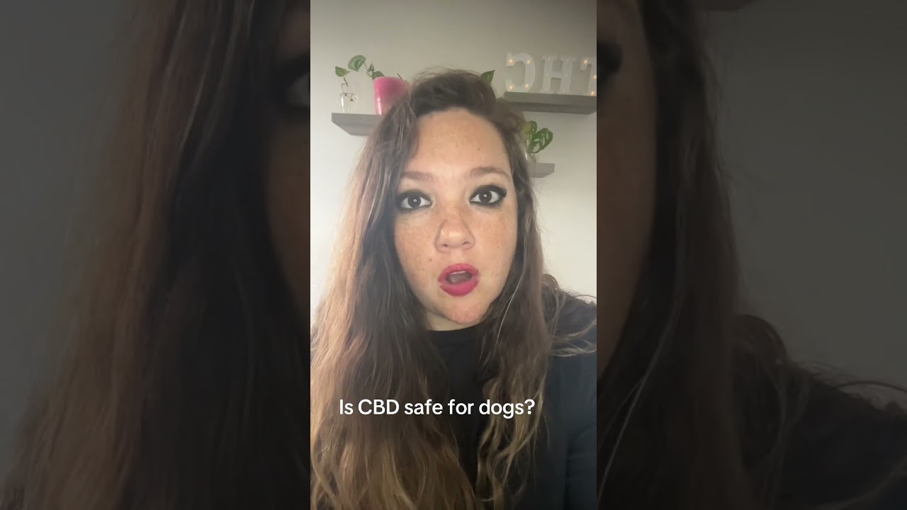 Is CBD safe for dogs? #cannabiscures #cannabissociety #cannabisheals #cbdeducation