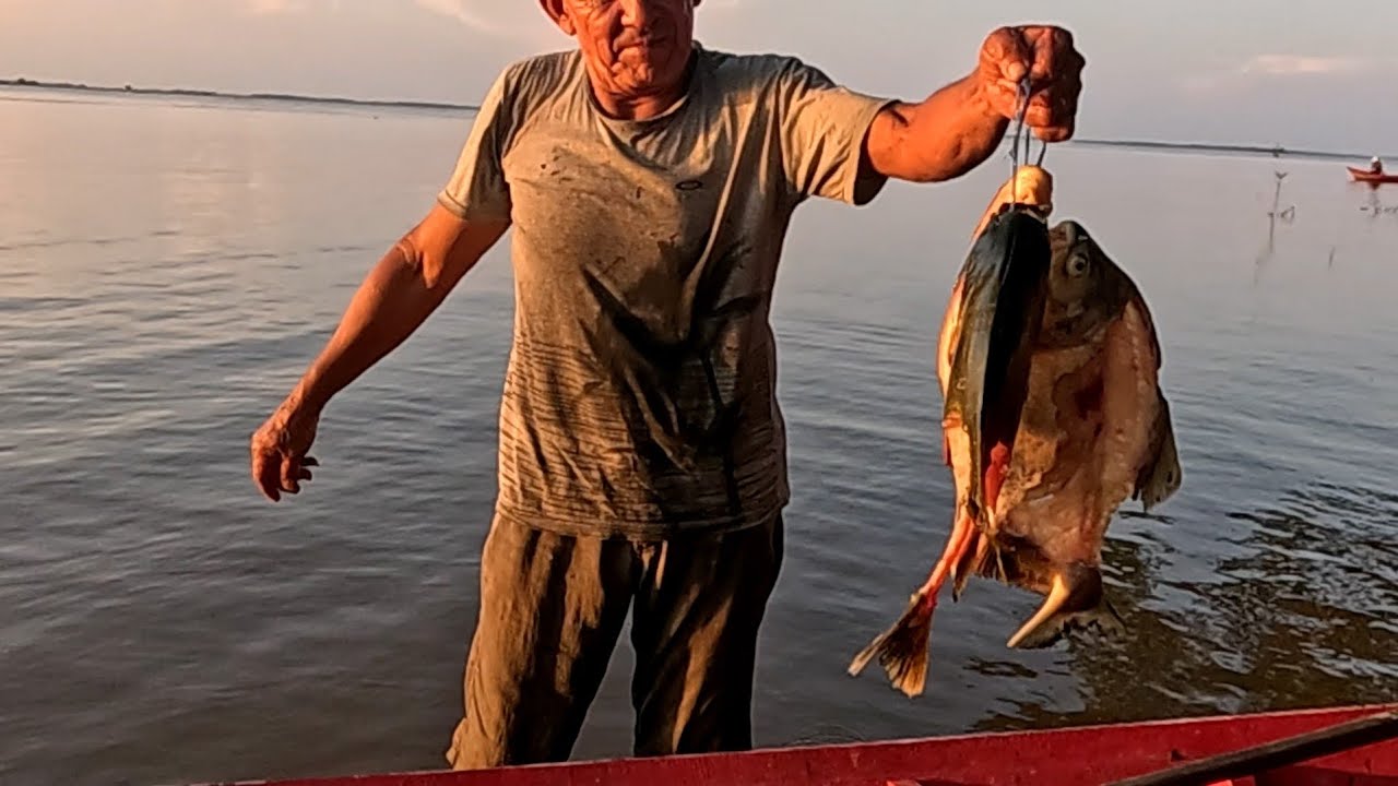 ATAQUE DE PIRANHAS/ PESCARIA DE MALHADEIRA/ PESCARIA NO LADO/ VIDA RIBEIRINHA/ RIO AMAZONAS